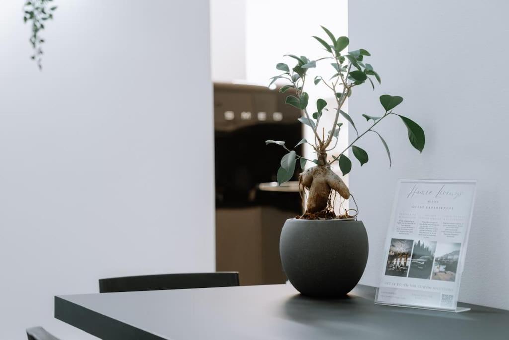 Apartamento Carlo - 15 Min From Duomo Milán